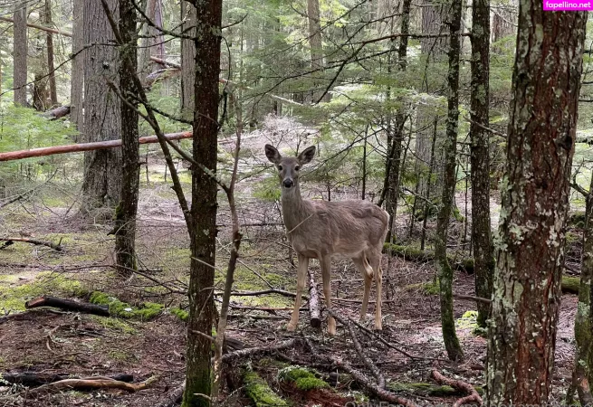 Kmonogamishfree OnlyFans Thumbnail #r8Koc5h5gc