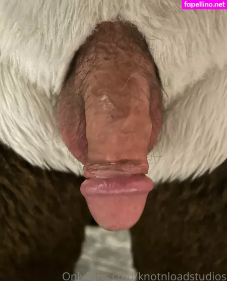 Knotnloadstudios OnlyFans Thumbnail #FSAFy8TIF6
