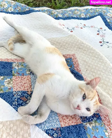 Kobaebeefboo OnlyFans Thumbnail #BrKQLE4iap