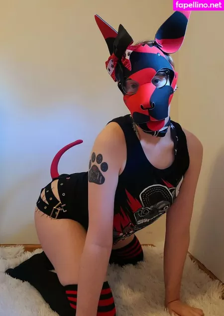 Kodi Pup OnlyFans Thumbnail #ZuiOSNPmmv