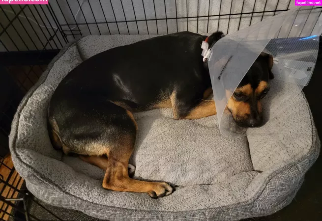 Kodi Salem OnlyFans Thumbnail #MBP2GjbW2u