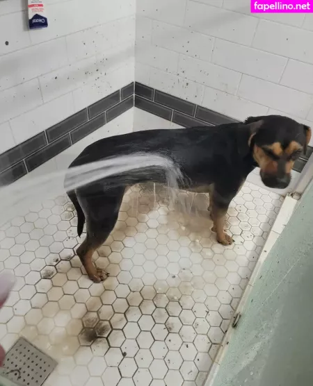 Kodi Salem OnlyFans Thumbnail #UDnmXIWOPy