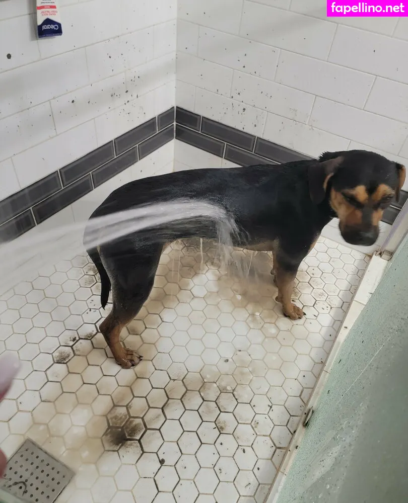 kodi_salem Nude Leaked OnlyFans Photo #UDnmXIWOPy