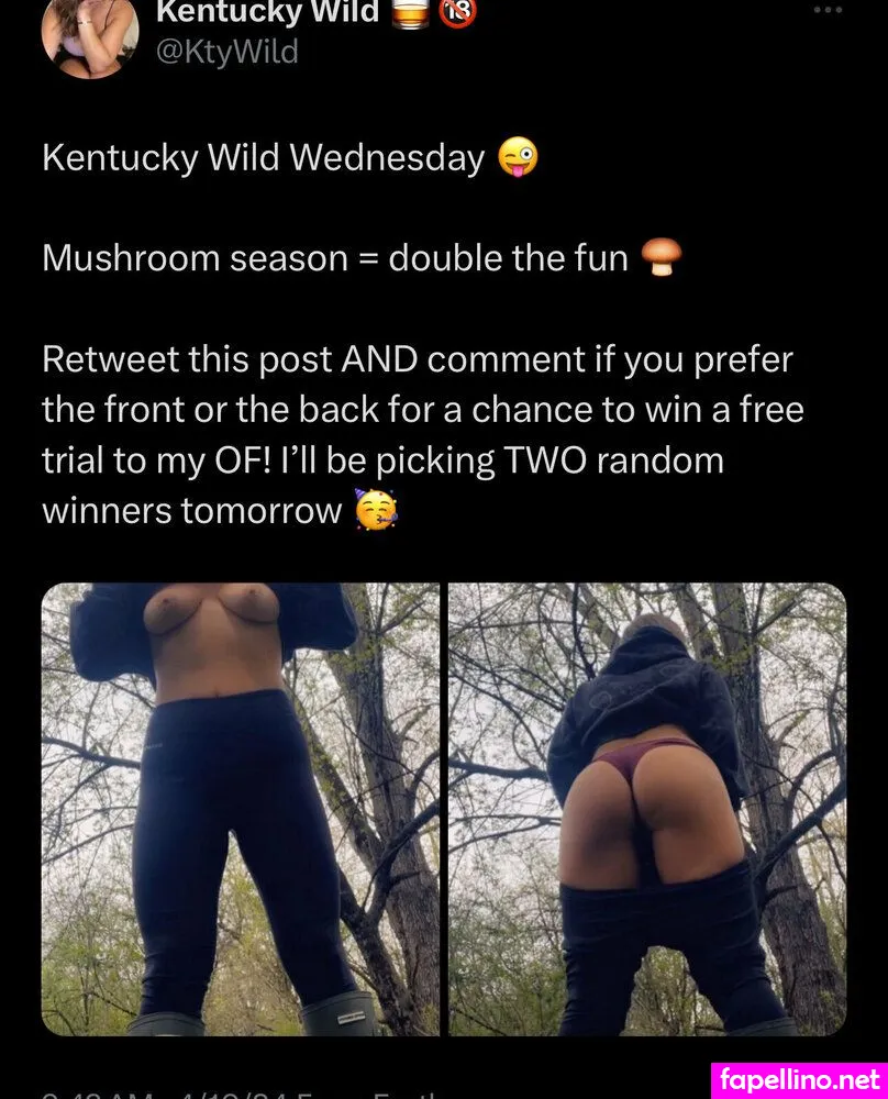 ktywild, ktywildfree Nude Leaked OnlyFans Photo #XcrhbiXY2f