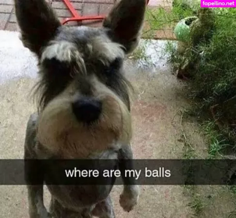 Kuroshiika OnlyFans Thumbnail #uDXZcm2ydt