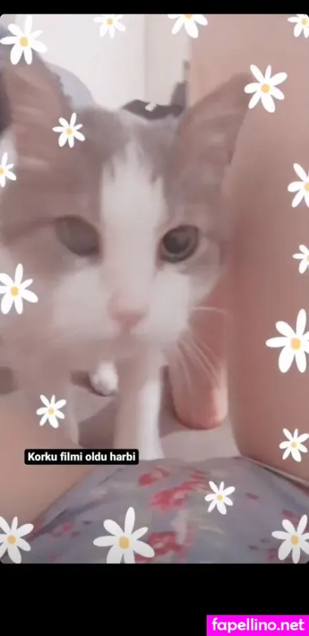 Kybeleniz OnlyFans Thumbnail #zMQzHVWRPR