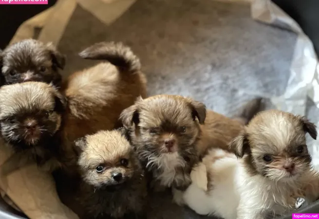 Kyla Yung OnlyFans Thumbnail #NIeuDoJgwx