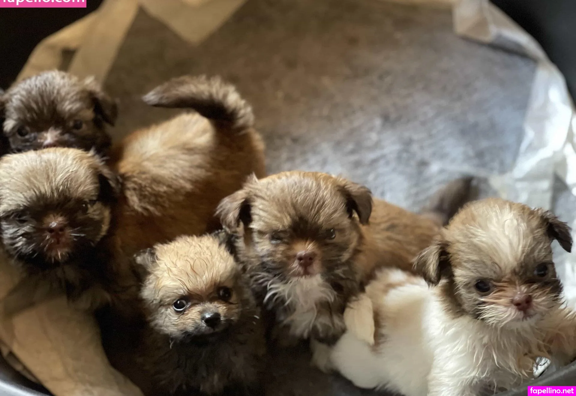 https:, kyla_yungcb, kylayung9 Nude Leaked OnlyFans Photo #NIeuDoJgwx