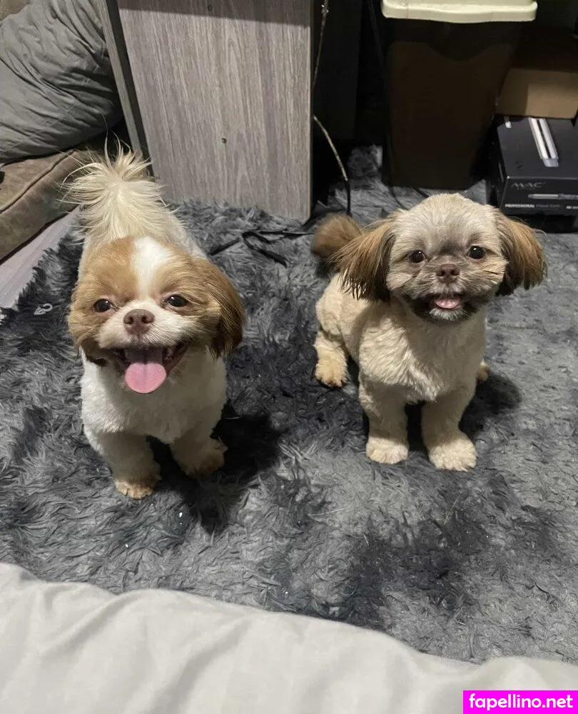 https:, kyla_yungcb, kylayung9 Nude Leaked OnlyFans Photo #yEA7vuKDig