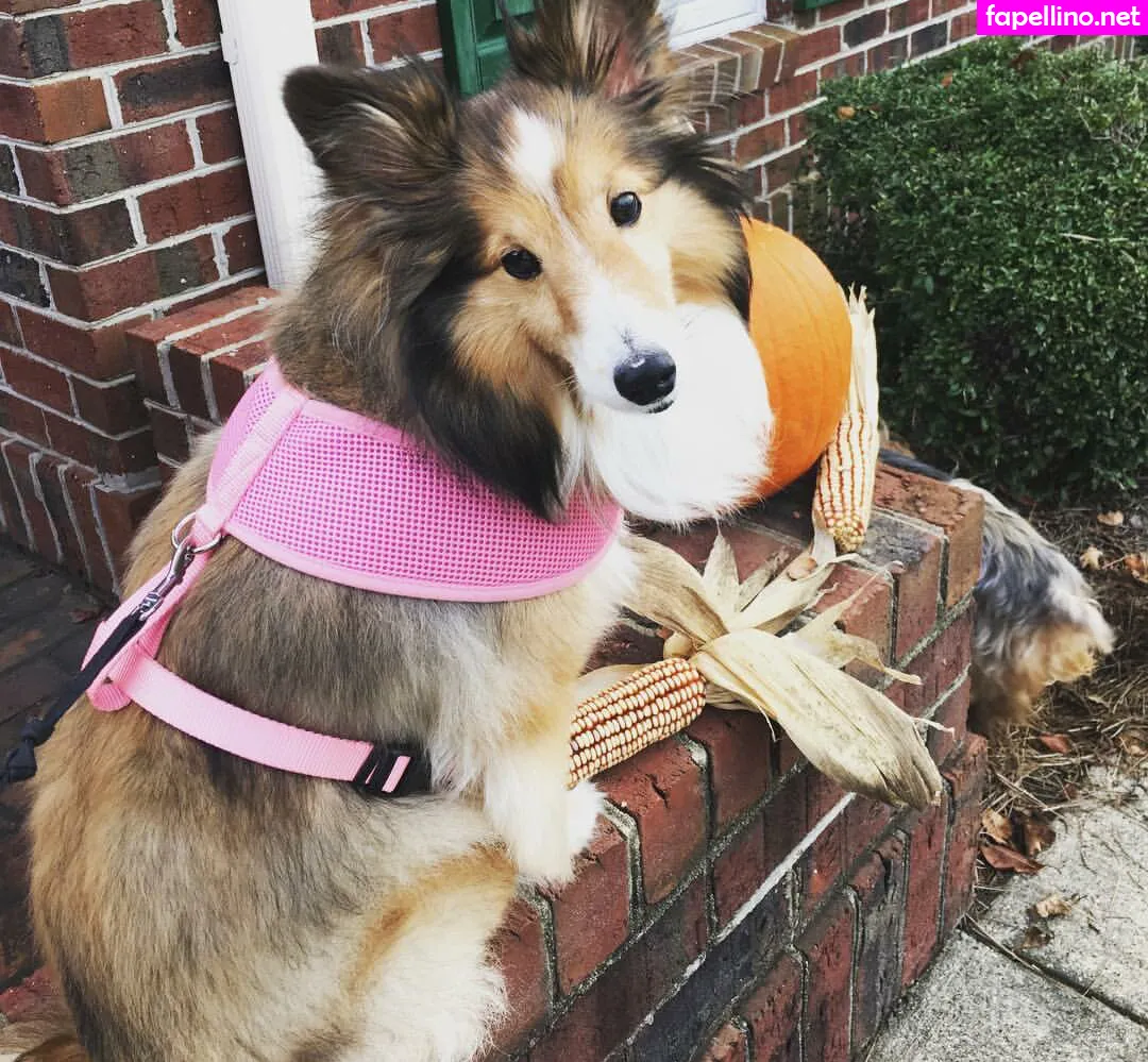 _kylienicole, kylie_knh, kylienicolebaby Nude Leaked OnlyFans Photo #W5dptWpmuN