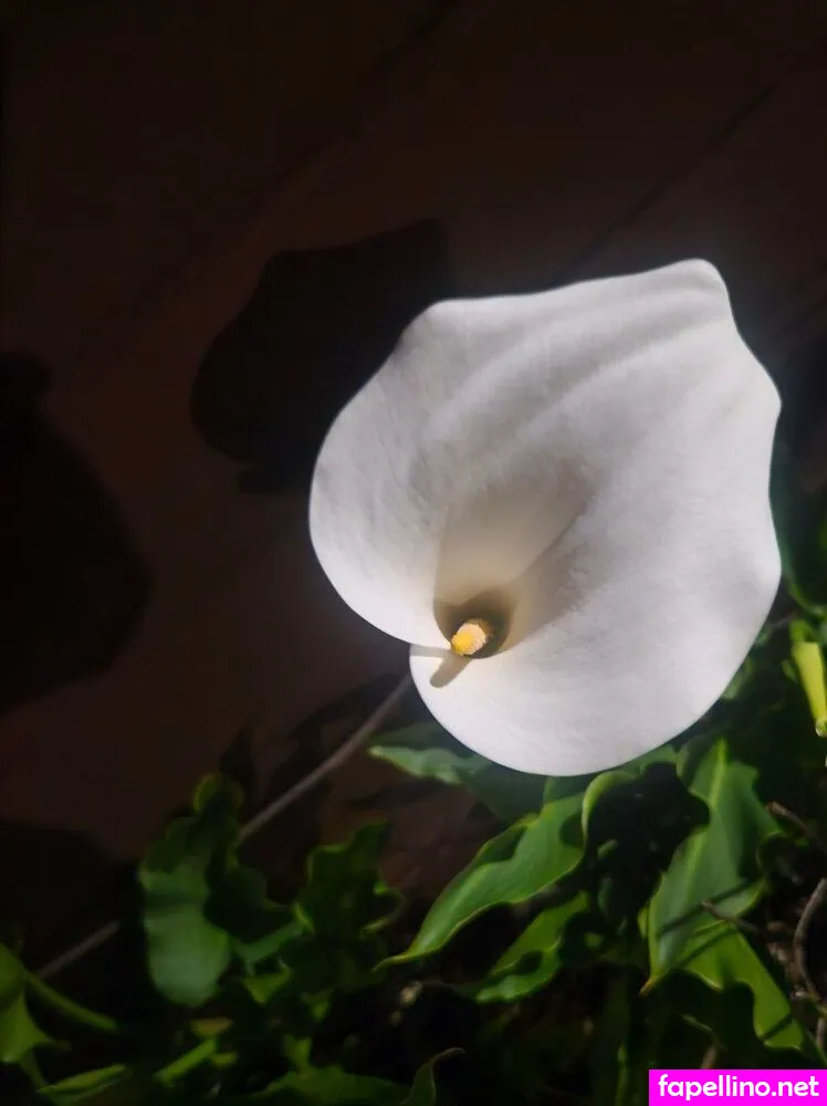 _quinnber_, kymberquinn Nude Leaked OnlyFans Photo #6T69F4An8r