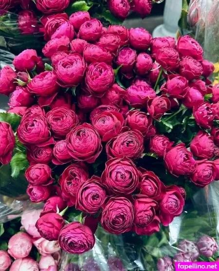 La Alegriafree OnlyFans Thumbnail #rGMmoiEl6b