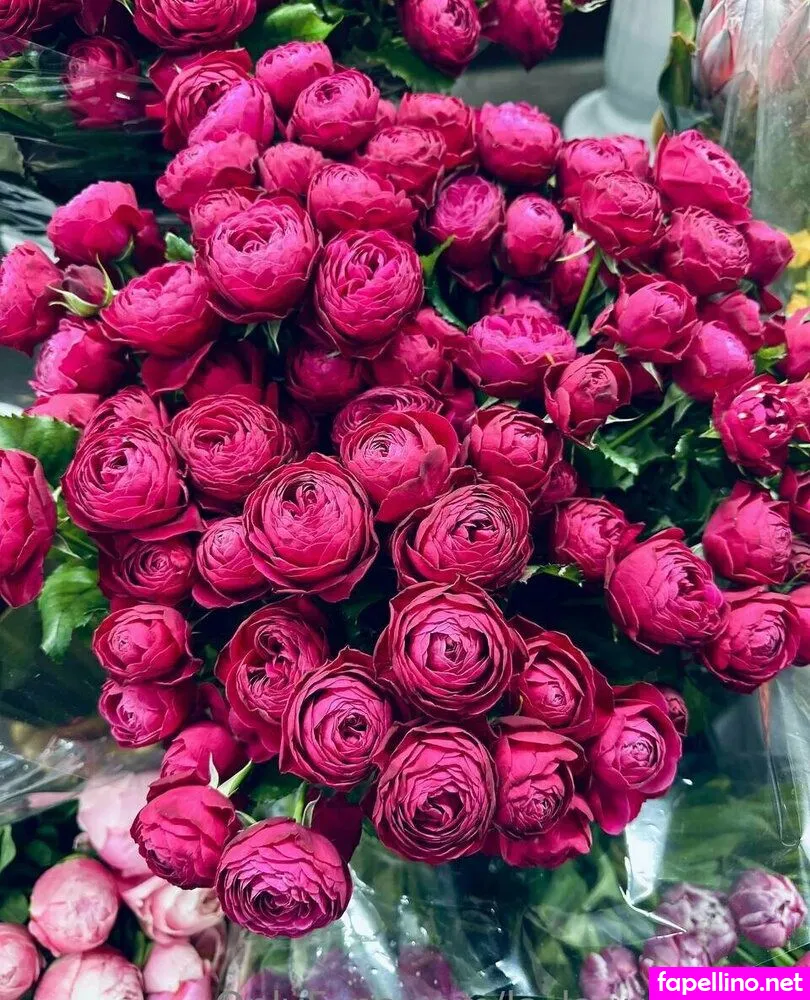 arie_b289, la_alegriafree Nude Leaked OnlyFans Photo #rGMmoiEl6b