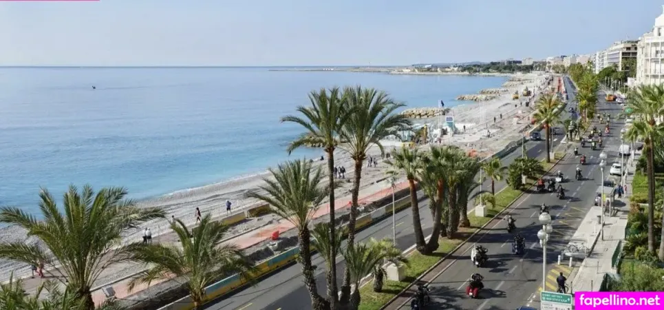 La Cetacea Main Profile Photo