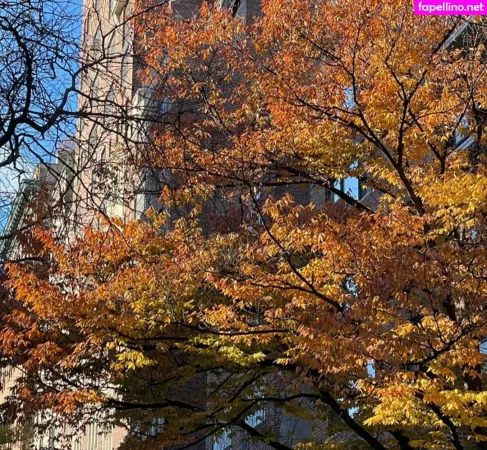 La Tecia Thomas OnlyFans Thumbnail #BWxvRwbyQP