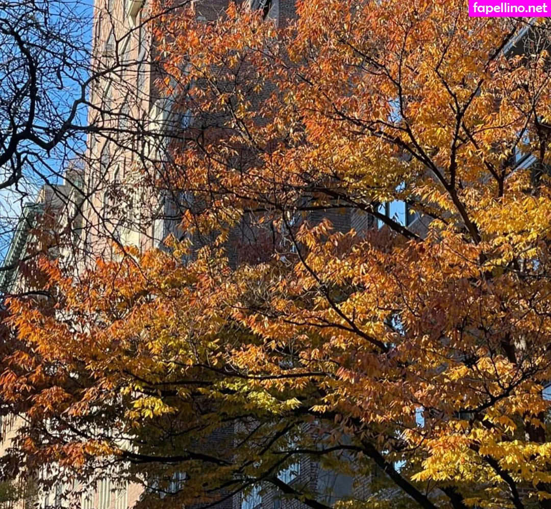 lateciat, lateciathomas Nude Leaked OnlyFans Photo #BWxvRwbyQP