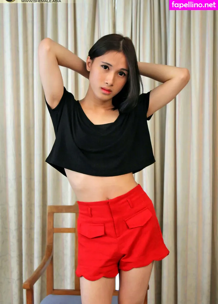 ladyboysofbangkok, poohladyboy, poohny_xx Nude Leaked OnlyFans Photo #aDRAVKJh2C