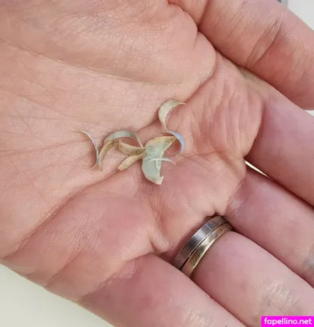 Ladylovetoes OnlyFans Thumbnail #EkhFl7T1cq