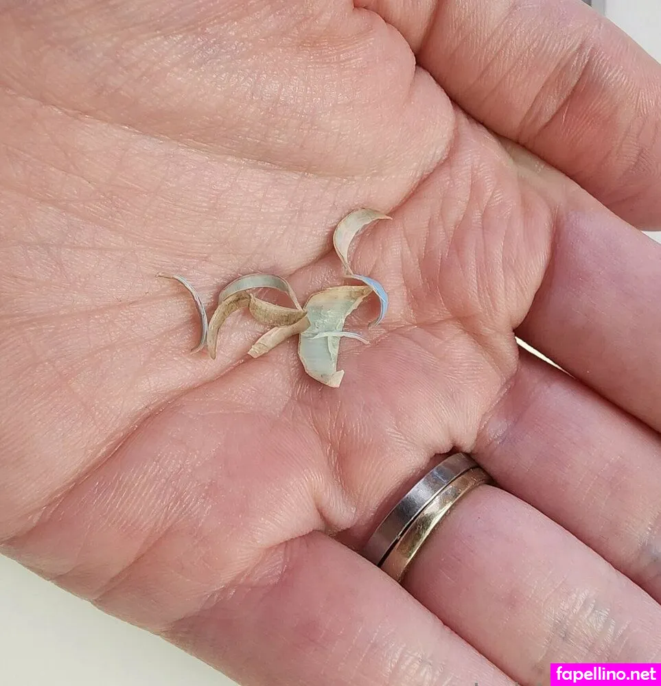 ladylovetoes, ladytoess Nude Leaked OnlyFans Photo #EkhFl7T1cq