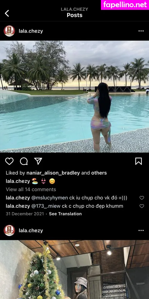 Cherry Nguyen, Lan Ahn Nguyen, lala.chezy Nude Leaked OnlyFans Photo #NqUNUYnn9t