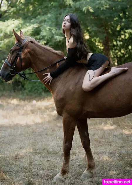 Lana Rabbit Main Profile Photo