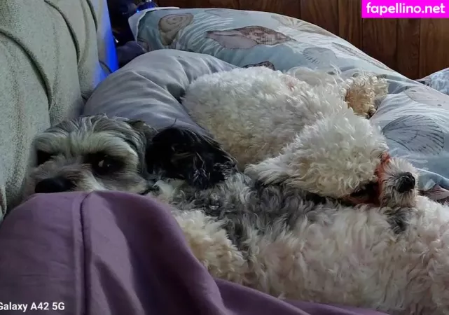 Lanarn OnlyFans Thumbnail #9Jsg1N2FoI