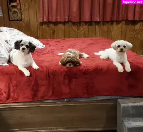 Lanarn OnlyFans Thumbnail #HGX3Q9A6HK