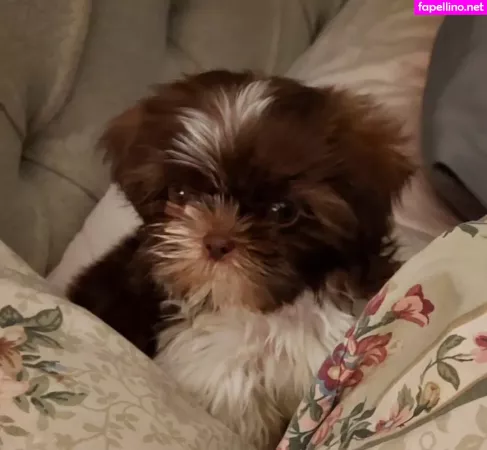 Lanarn OnlyFans Thumbnail #fcW5O8N4e3