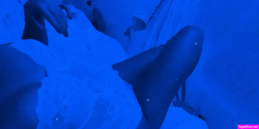 Latenightsiren OnlyFans Thumbnail #VG9s42C2IZ