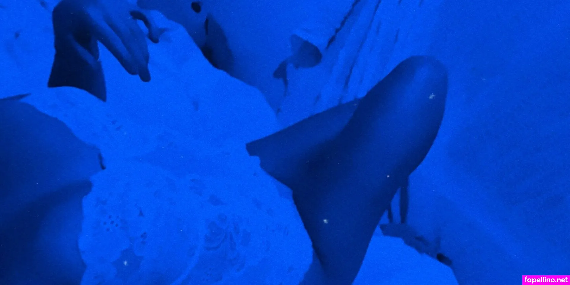 latenightsiren Nude Leaked OnlyFans Photo #VG9s42C2IZ