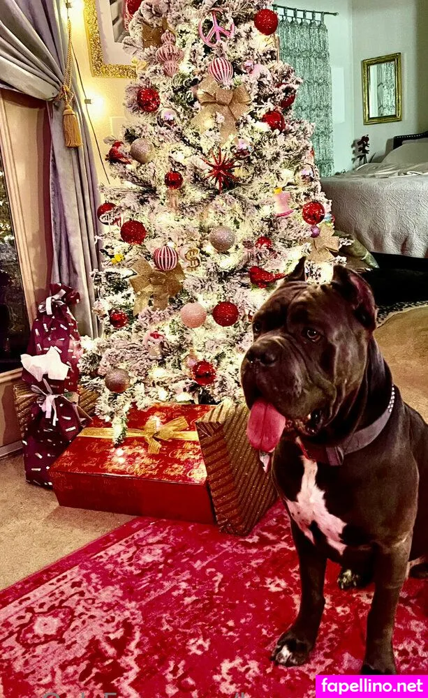 lauren_jadore Nude Leaked OnlyFans Photo #noozm5HP6w