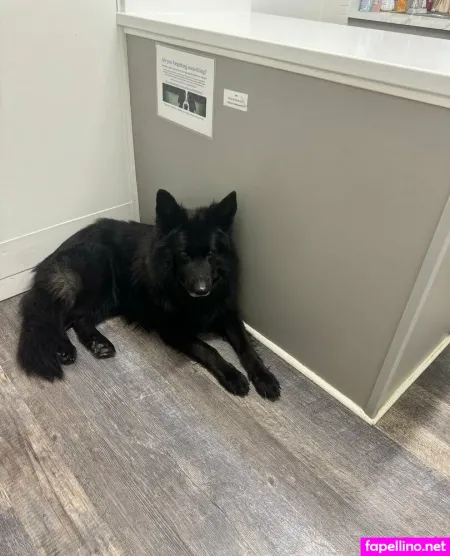 Laurenann77 1 OnlyFans Thumbnail #MDAucvzKKh