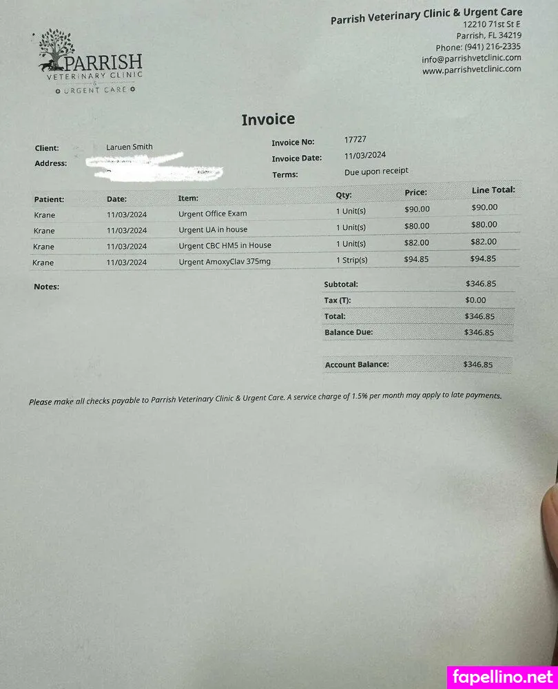 laurenann77 Nude Leaked OnlyFans Photo #V8rbRfSXhR