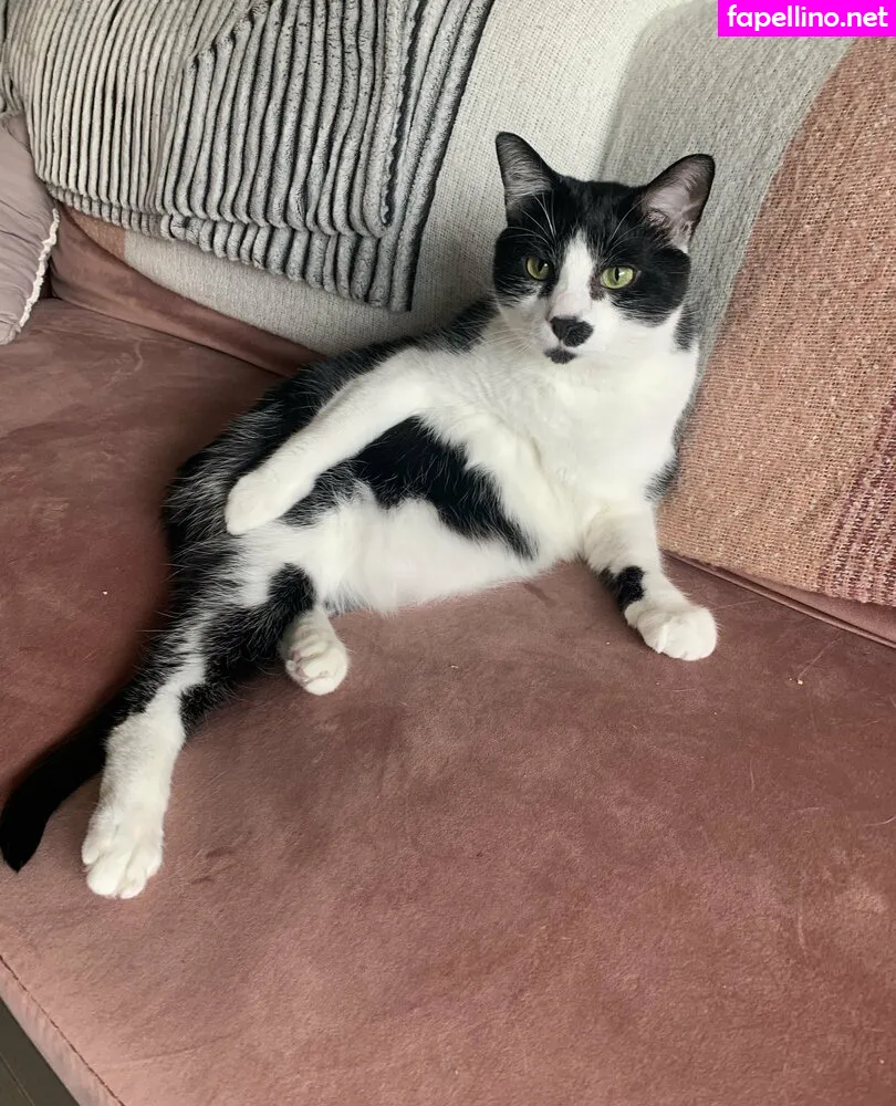 lauuu.x, lauuu_x Nude Leaked OnlyFans Photo #HiImwvYtOX