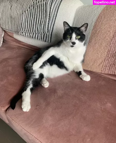 Lauuu X OnlyFans Thumbnail #LECNCSrY46