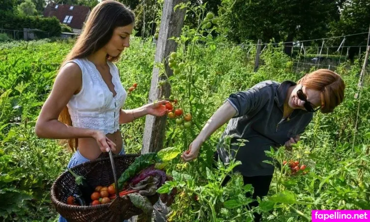 Leaelui Main Profile Photo