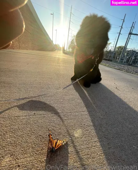 Leahsade OnlyFans Thumbnail #gDOUddUBot