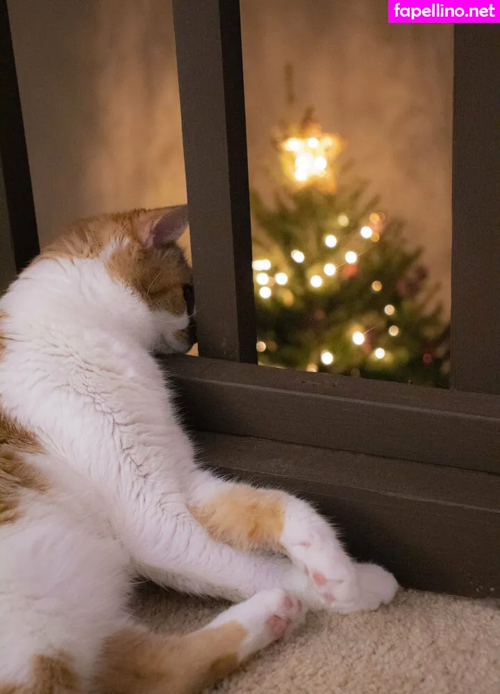 leanalovings, theleanalovings Nude Leaked OnlyFans Photo #9o8q9etct4