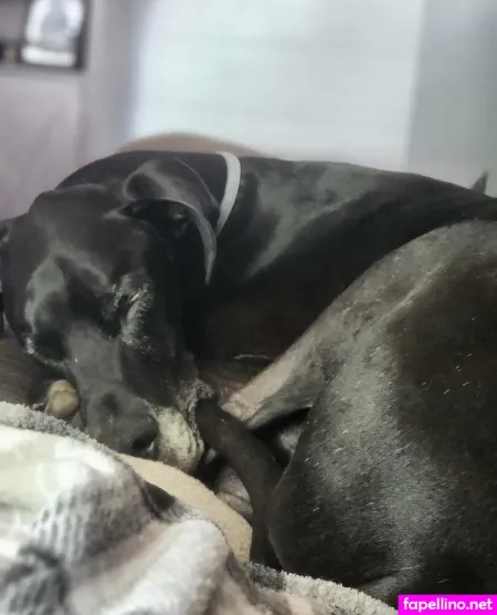 Leannmonroe OnlyFans Thumbnail #3LU2e5LI2q