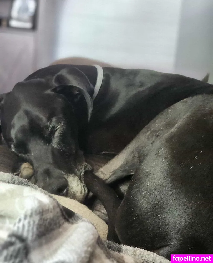 https:, leann._monroe, leannmonroe Nude Leaked OnlyFans Photo #3LU2e5LI2q