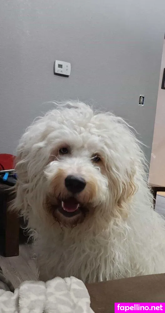 https:, leann._monroe, leannmonroe Nude Leaked OnlyFans Photo #6yOWfXVxOl