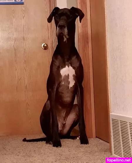 Leannmonroe OnlyFans Thumbnail #ICN36fZK21