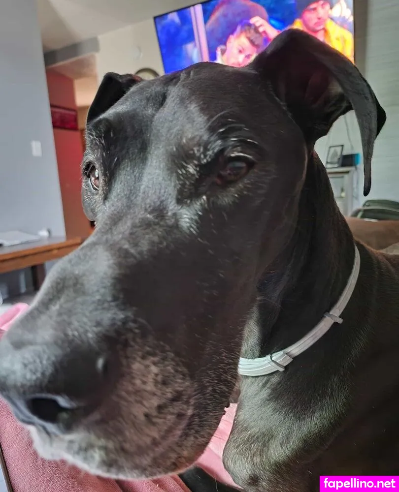 https:, leann._monroe, leannmonroe Nude Leaked OnlyFans Photo #buLq1UzNwC