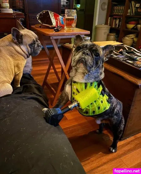 Leglessdesires OnlyFans Thumbnail #u4UaF1PRjS