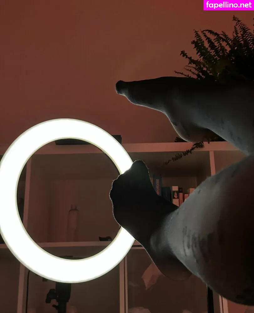 leila.moooooooon, leliloo Nude Leaked OnlyFans Photo #EuAhy24sHY