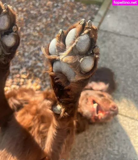 Leorose02 OnlyFans Thumbnail #XiFKvG5WJk