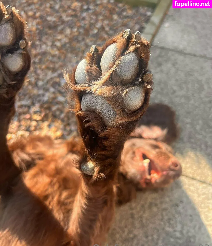 leorose02, leosenpai202 Nude Leaked OnlyFans Photo #XiFKvG5WJk