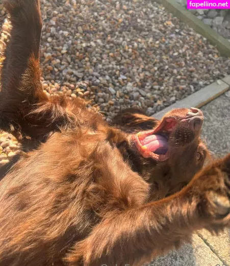 Leorose02 OnlyFans Thumbnail #dkY6u6FClq