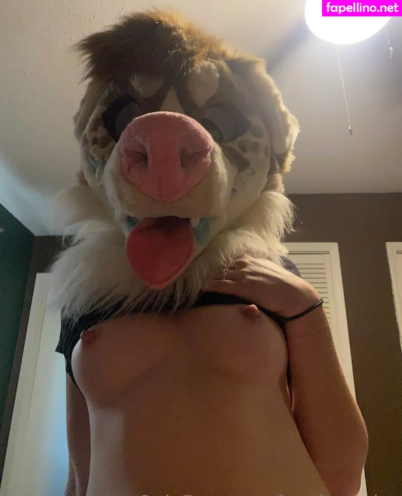 lewdpuppies, lewdpuppii Nude Leaked OnlyFans Photo #DCvF3UaSEC