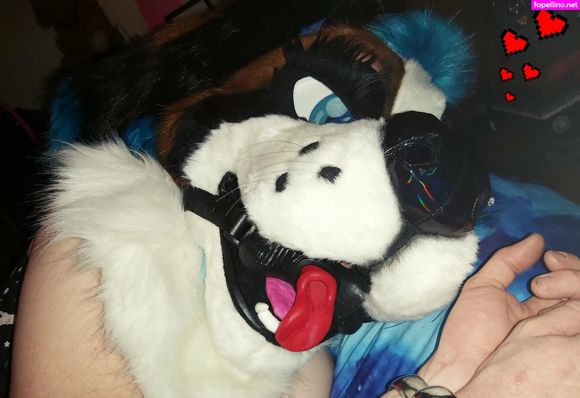 lexi__puppy, lexipuppy Nude Leaked OnlyFans Photo #yUL453SoER